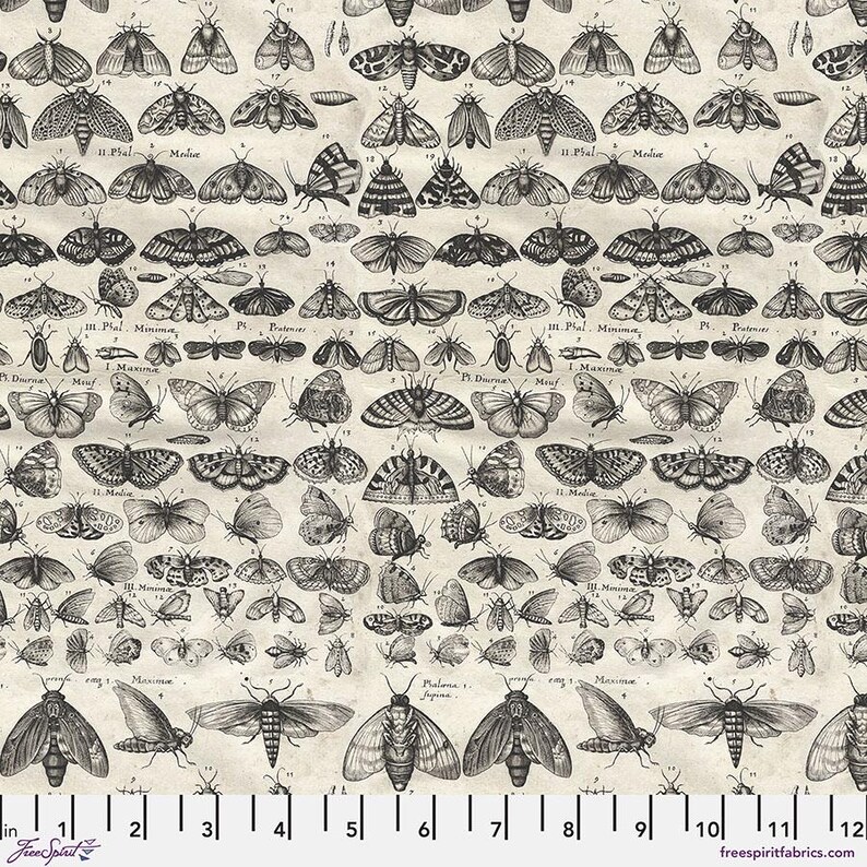 Charcoal Moths - Charcoal || Tim Holtz Palette Monthly Collection ...