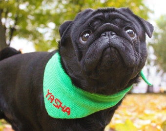 Personalized Custom Dog knitted and hand embroidered Bandana Tie