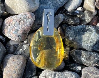 Amber Hiddensee