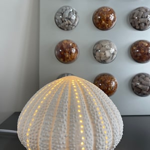 May include: A white ceramic lamp shaped like a sea urchin with a warm glow emanating from the holes in the shell. The lamp is on a dark surface in front of a wall with round containers filled with various materials.