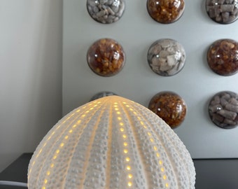 Seaurchin Lamp