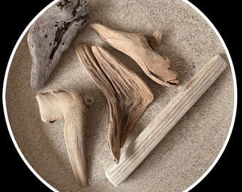 Driftwood Decoration