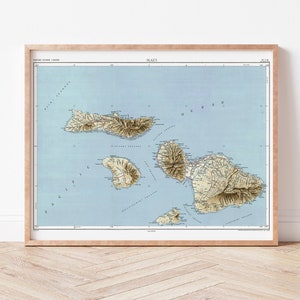 Vintage Maui HI 1954 USGS Map Print