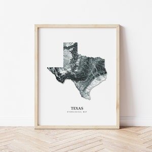 Texas Hydrological Map Poster (Black)