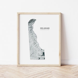 Delaware Hydrological Map Poster (Black)