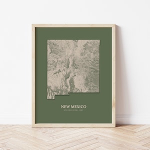 New Mexico Hydrological Map Poster (Green)