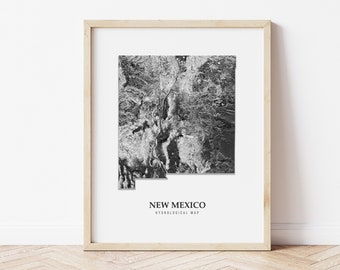 New Mexico Hydrological Map Poster (Black)