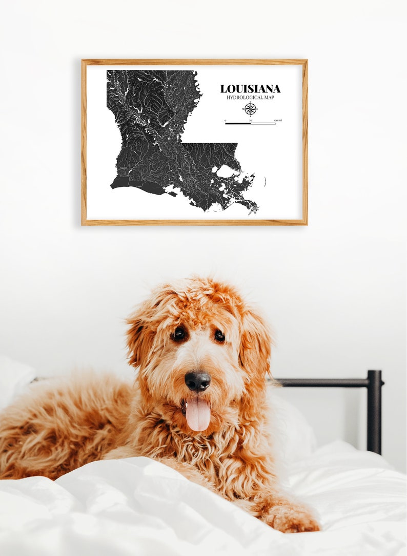 Louisiana Hydrological Map Poster Black
