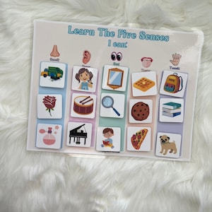 Five Senses Sorting Activity, Five Senses Game For Kids, 5 Senses Matching, Activity For Toddlers And Preschoolers, Homeschool Materials