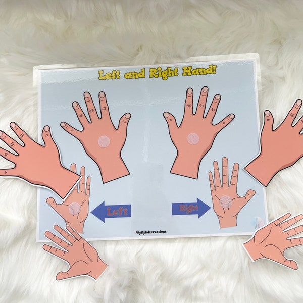 Body Parts Left & Right Learning Education Printable - Preschool Homeschool - Left and Right Hand - Body Parts Printable -Preschool Activity