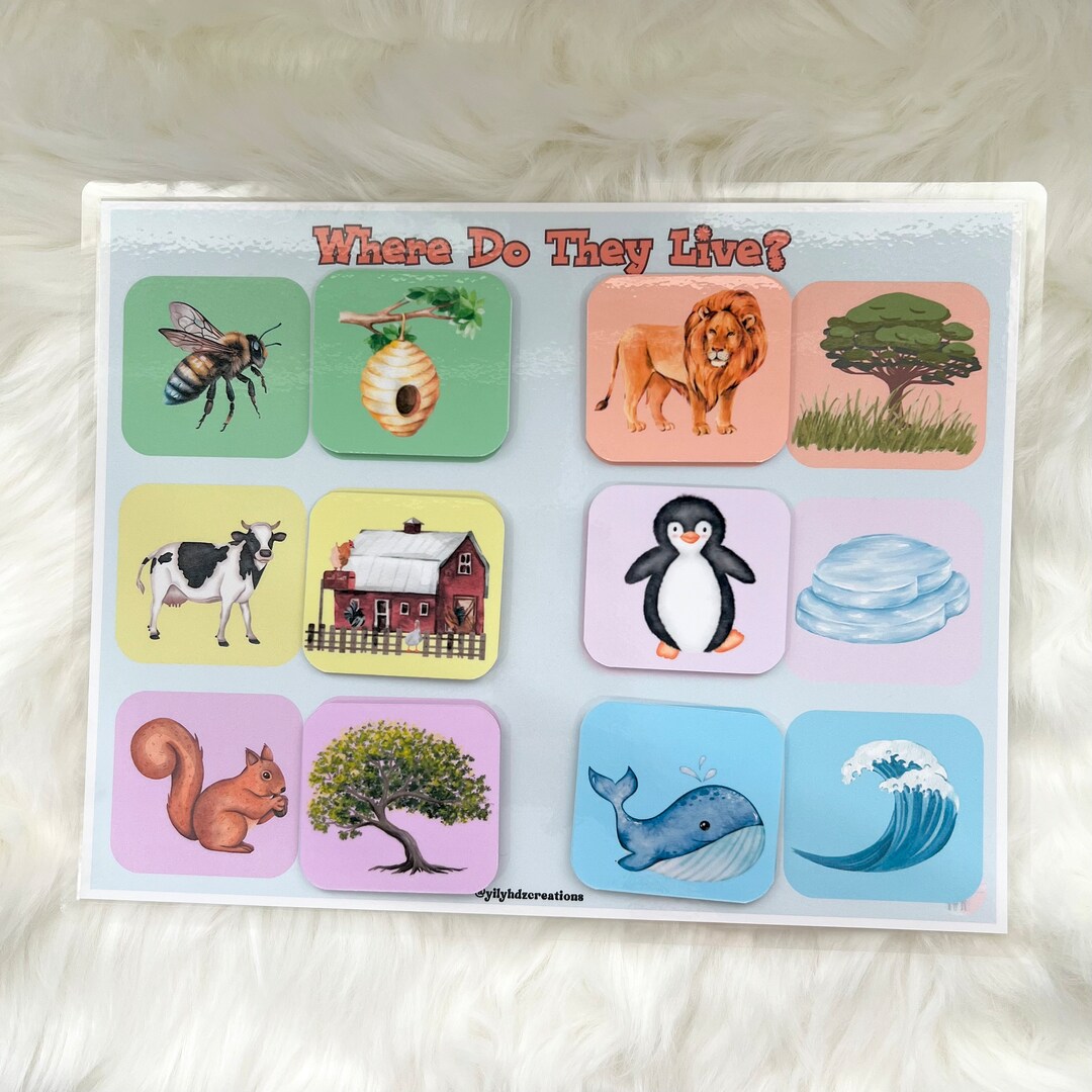 Animal Habitat Activity Habitat Sorting Activity Habitat Matching Activity Where Do They Live
