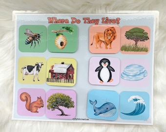Animal Habitat Activity - Habitat Sorting Activity - Habitat Matching Activity - Where Do They Live Printable - Homeschool Activity