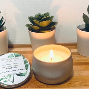Leite de coco com framboesa vermelha - velas de cera de soja de 4 onças, velas de frutas vermelhas, framboesa, vela de mirtilo, vela de soja Madarin, vela de cera de soja