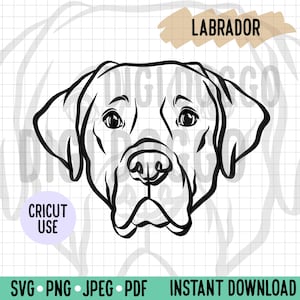 Labrador Outline SVG/ Labrador Face Line Art Vector File/ Dog Breed Digital Download for Cricut Silhouette Project/ Labrador Dog Clipart PNG