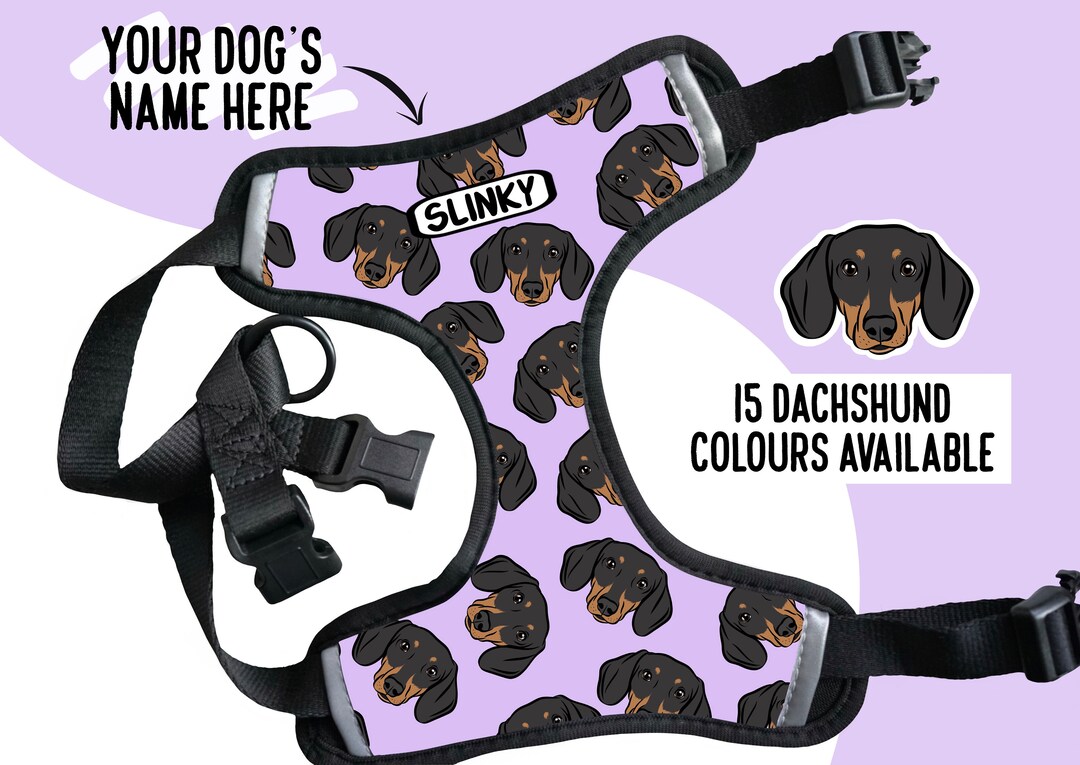 Personalised Dachshund Harness/ Sausage Dog Face Pattern Etsy