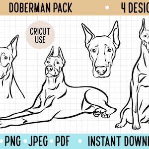 Esquema de perro Doberman SVG/ Descarga digital de raza de perro PNG/ Ilustración de imágenes prediseñadas de Doberman/ Archivo vectorial de silueta Cricut para propietario de Doberman