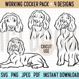 Working Cocker Spaniel Outline SVG/Spaniel Dog Breed Line Drawing SVG Pdf/Cricut Silhouette Cut File/Working Cocker PNG/Dog Vector Graphic