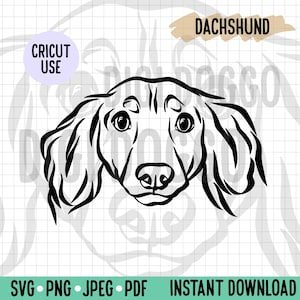 Long Hair Dachshund Outline SVG/ Sausage Dog Face Line Art Vector File/ Dog Breed Digital Download for Cricut Silhouette Project/Dog Clipart
