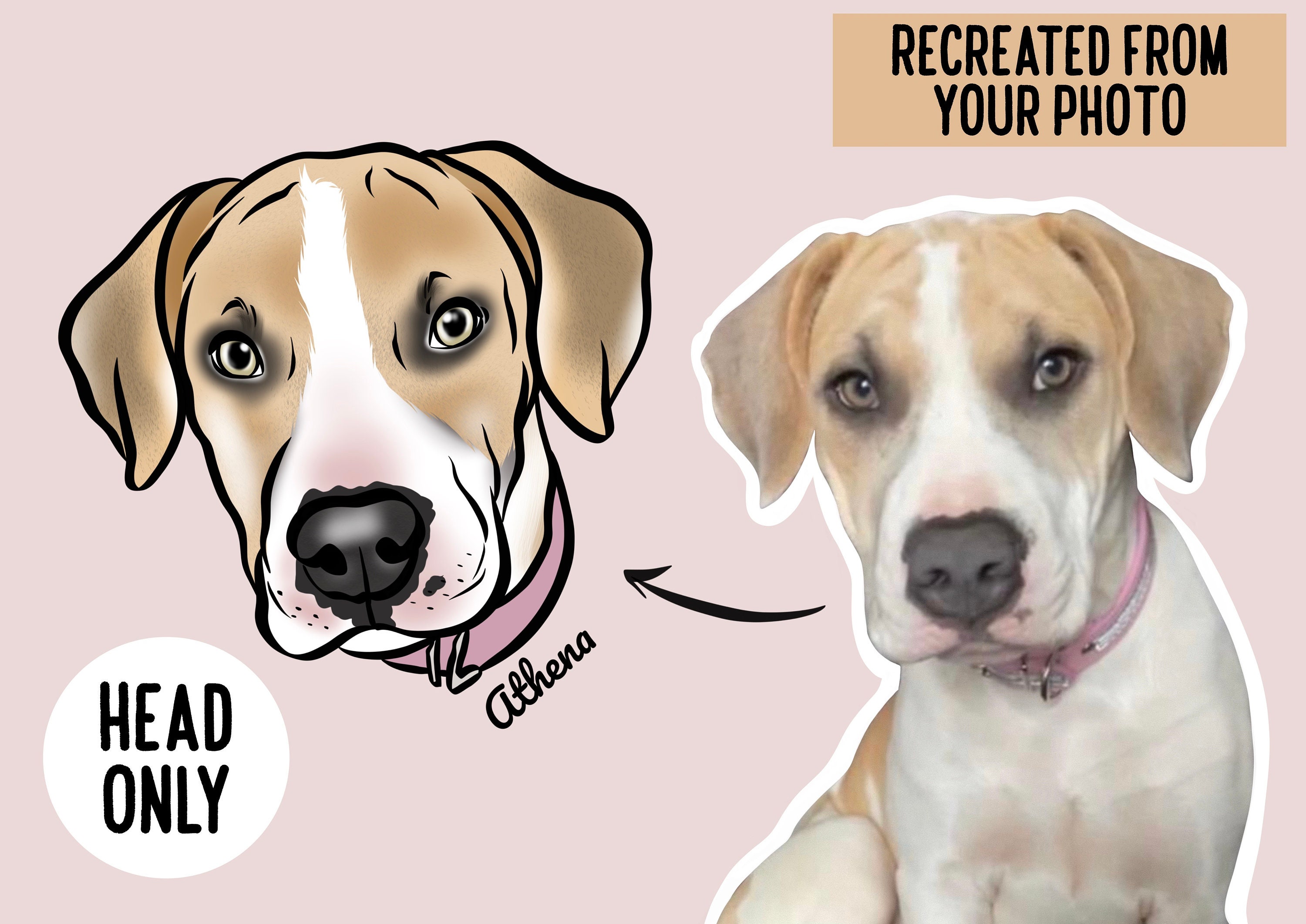 Pop art cheap your dog