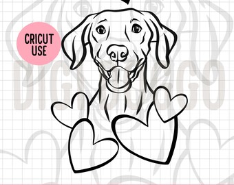 May include: Black and white line art illustration of a Weimaraner dog with three hearts. The dog is looking at the viewer with its tongue sticking out. The text "WEIMARANER" is above the dog's head.
