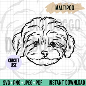Esquema de Maltipoo SVG/Línea de arte de cara de perro Vector/Descarga digital de raza de perro para archivo de corte Cricut/Lindo perro Maltipoo Clipart PNG ilustración
