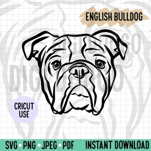 Bulldog inglese contorno SVG/Cane faccia linea arte file vettoriale/Inglese Bully download digitale per Cricut Silhouette Project/Doggo PNG Clipart
