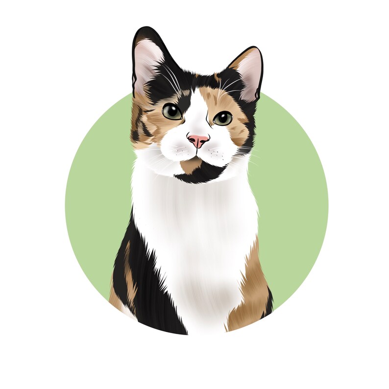 May include: A calico cat with black, white, and orange fur sits against a light green background. The cat has green eyes and a pink nose.