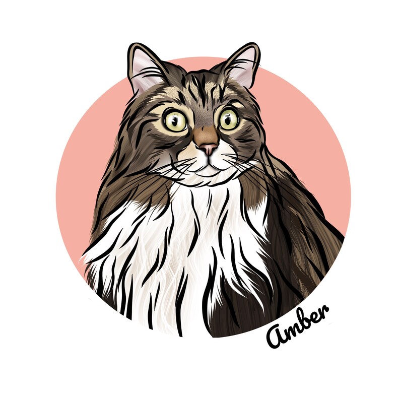 May include: A brown and white tabby cat with green eyes, looking to the right, in a circle with a pink background. The cat's name, "Amber", is written in black cursive below the circle.