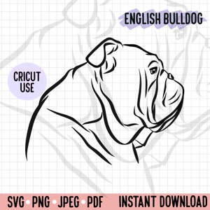 English Bulldog Side View SVG/ English Bully Outline Drawing PNG/ Bully Breed Digital Vector File/ Dog Face Line Art Cricut Project Cut File