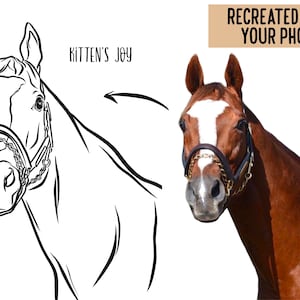 Outline Horse Portrait/ Personalised Horse Line Art Illustration/ Custom Digital Horse Drawing from Photo/ Printable Horse Wall Art Gifts