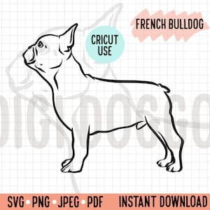 Bulldog francés de pie de lado, contorno SVG/ Dibujo lineal de Frenchie, archivo de arte vectorial/ Descarga instantánea digital de raza de perro, gráfico recortable PNG