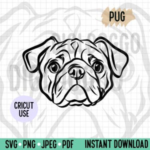 Cara de Pug con contorno SVG/Lindo archivo vectorial de arte lineal de Pug/Descarga digital de raza de perro para proyecto de silueta Cricut/Ilustración de perro Pug Clipart