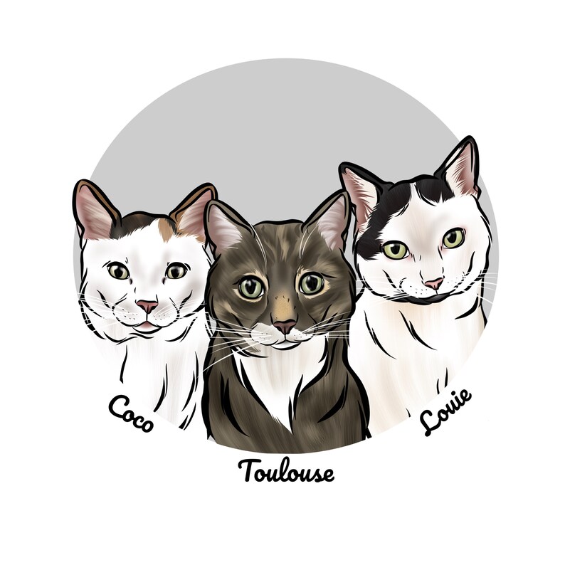 May include: A digital illustration of three cats, Coco, Toulouse, and Louvie, in a circle. Coco is a white cat with black and orange markings. Toulouse is a tabby cat with black, white, and brown markings. Louvie is a white cat with black markings.