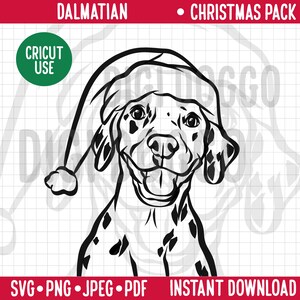 Esquema de dálmata Navidad SVG/Retrato de línea de raza de perro Clipart Perro dálmata con gorro de Papá Noel/Mascota festiva PNG Archivo de descarga digital para Cricut