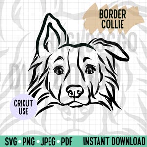 Border Collie Outline SVG/ Border Collie Dog Line Art Vector File /Dog Breed Digital Download for Cricut Project/Border Collie Face Clipart