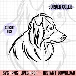 Border Сollie Side View PNG/ Digital Download Pet Profile SVG/ Dog Face Illustration Clipart/ Border Collie Outline Drawing Cricut Cut File
