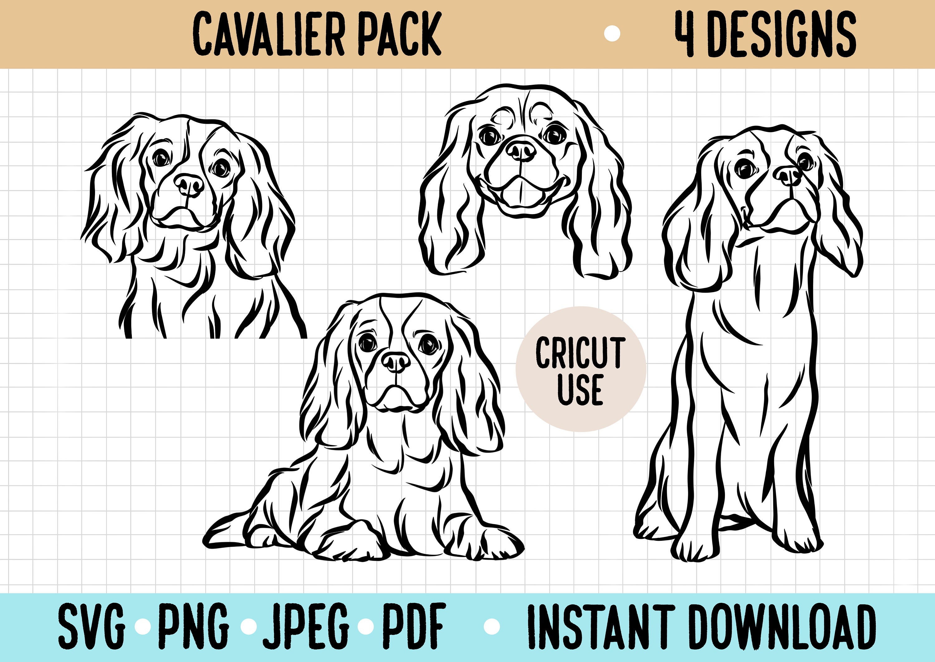 Cavalier King Charles Spaniel Umriss SVG / Cavalier Digital Download PNG / Hund Clipart Illustration / Cricut Silhouette Vektor Spaniel Datei