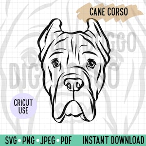 Cane Corso Outline SVG/ Pet Illustration Line Art Vector File/Dog Breed Digital Download for Cricut Silhouette Cut /Cane Corso Clipart PNG
