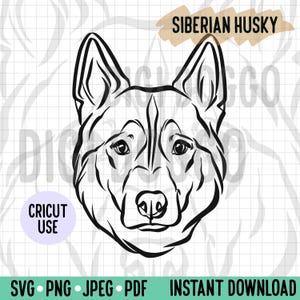 Esquema de husky siberiano SVG/Ilustración de husky Archivo de arte lineal Vector/Descarga digital de raza de perro para proyecto de silueta Cricut/Clipart de perro PNG