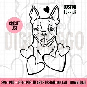 Boston Terrier Love SVG Dog Outline Breed PNG Download Valentines Gift for Boston Terrier Owner Cricut Cut File Dog Hearts Clipart Vector