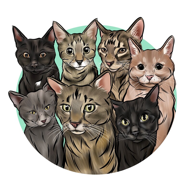 May include: A group of seven cats with different fur patterns and colors, including black, gray, brown, and orange, are looking at the camera. The cats are arranged in a circle on a light green background.
