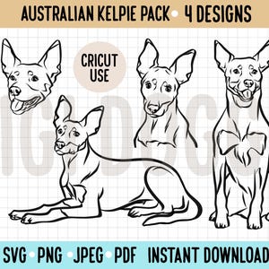 Paquete SVG de contorno de Kelpie australiano/Dibujo lineal de raza de perro SVG/Archivo de corte Cricut/Clipart de Kelpie PNG/Gráfico vectorial de perro Descarga digital de Kelpie