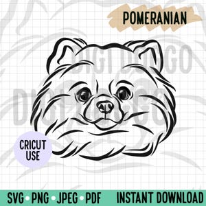 Archivo SVG de contorno de Pomerania/Archivo vectorial de arte lineal de cara de Pomerania/Descarga digital de raza de perro para proyecto Cricut/Archivo de corte PNG de Pomerania