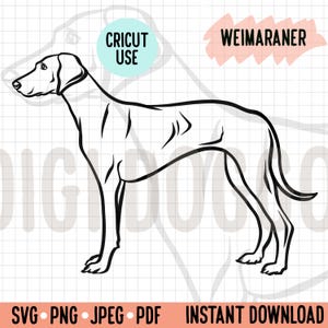 Weimaraner Breed Standing Sideview Outline SVG/ Weimaraner Standing Pose Vector File/Dog Breed Digital Download Cuttable Version PNG Gift