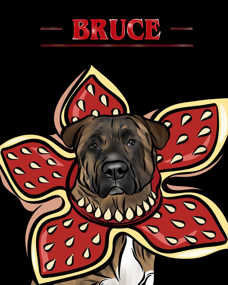 May include: A brown and black dog wearing a red and yellow flower-shaped costume with the text "BRUCE" above it.