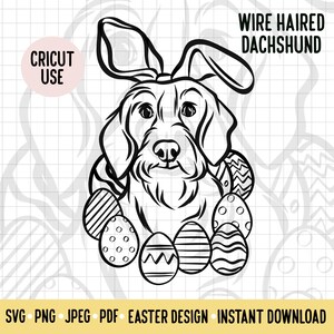 Drahthaar Dackel Ostern SVG/Hund Rasse Digital Download Vektor Datei/Sausage Hund Osterhase Clipart Cricut File/Doggie Ostern Umriss