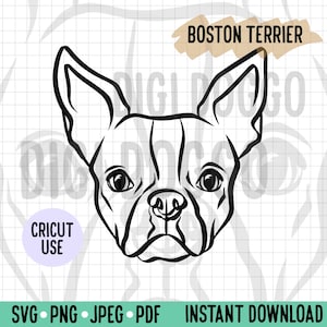 Boston Terrier Outline SVG/Boston Terrier Face Line Art Vector File/Dog Breed Digital Download for Cricut Silhouette Project/Pet Clipart PNG