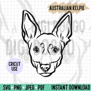 Archivo SVG de contorno de Kelpie australiano/Archivo vectorial de arte lineal de cara de Kelpie/Descarga digital de raza de perro para proyecto Cricut/Archivo de corte PNG de Kelpie Clipart