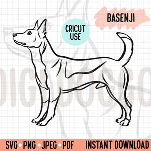 Esquema de vista lateral de pie de raza de perro Basenji SVG/Pose de pie de perro Basenji Vector/Descarga digital de raza de perro Proyecto gráfico recortable PNG