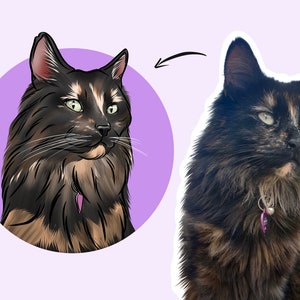 May include: A digital illustration of a black, brown, and white cat with green eyes. The cat is wearing a purple collar with a charm. The illustration is set against a purple background.